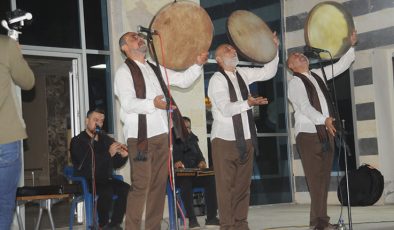 Grup Tillo Cizre’de konser verdi