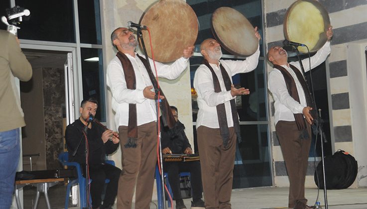 Grup Tillo Cizre’de konser verdi