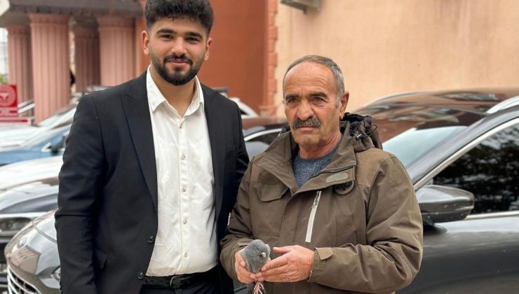 Şırnak’ta yaralı bulunan peçeli baykuş ve güvercin tedaviye alındı