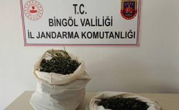 Bingöl’de jandarmadan operasyon: 7 kilo esrar ele geçirildi