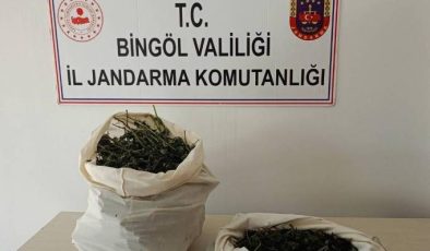 Bingöl’de jandarmadan operasyon: 7 kilo esrar ele geçirildi