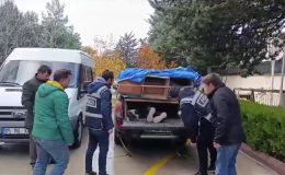 Arı kovanlarının arasına saklanan 4 düzensiz göçmen yakalandı
