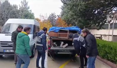 Arı kovanlarının arasına saklanan 4 düzensiz göçmen yakalandı