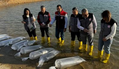 Baraj göllerine 2 milyon balık yavrusu bırakıldı