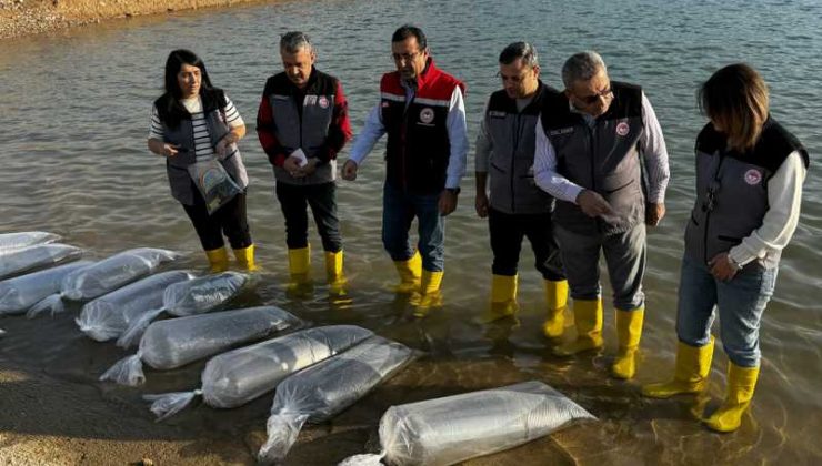 Baraj göllerine 2 milyon balık yavrusu bırakıldı