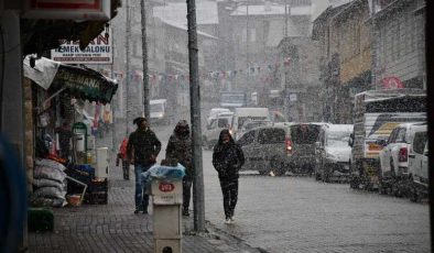 Beytüşşebap’ta kar ulaşımı felç etti