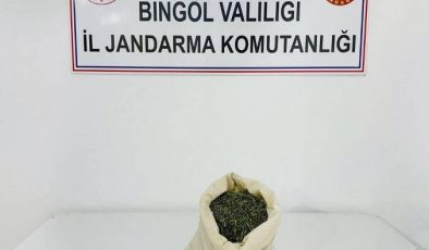 Bingöl’de jandarmadan operasyon: Aranan 2 kişi yakalandı