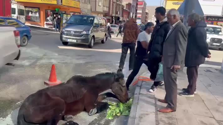 Bitkin düşen at vatandaşların yardımıyla kurtarıldı