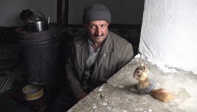 Bitkin halde bulduğu sincap yavrusu evin neşesi oldu