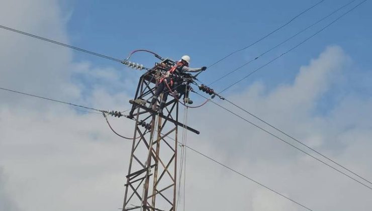 Bitlis’te kış öncesi enerji hatlarında yoğun çalışma