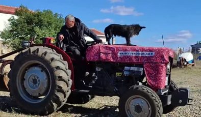 Bu çiftçinin köpeği “Kara” traktörün kaportasında inmiyor