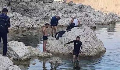 DİDAK’tan ‘Doğa Tutkunlarına’ yürüyüş etkinliği