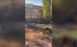 Dereye devrilen otomobilin sürücüsü öldü