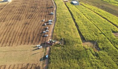Dicle Elektrik, Şanlıurfa’da 15 kaçak trafoya el koydu