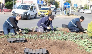 Diyarbakır, 1 milyon çiçekle kışa hazırlanıyor