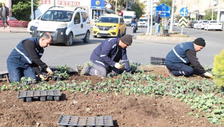 Diyarbakır, 1 milyon çiçekle kışa hazırlanıyor