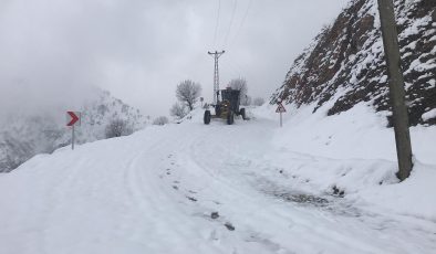 Diyarbakır’da kar nedeniyle kapanan 625 kilometre yol açıldı