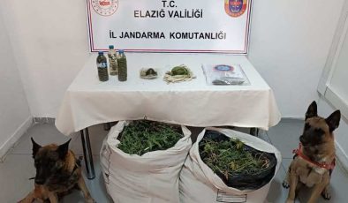 Diyarbakır’da 11 kilo esrar operasyonu: 1 gözaltı