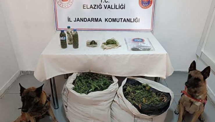 Diyarbakır’da 11 kilo esrar operasyonu: 1 gözaltı