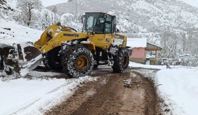 Elazığ, Batman, Şırnak, Siirt ve Bingöl’de 163 yerleşim yerine ulaşım sağlanamıyor