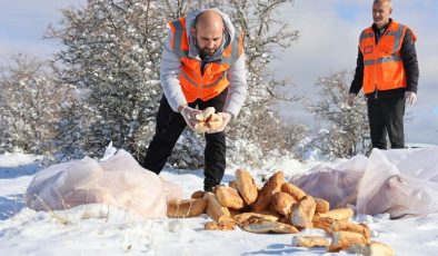 Elazığ’da sokak hayvanları için doğaya yem bırakıldı