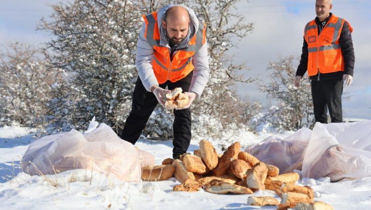 Elazığ’da sokak hayvanları için doğaya yem bırakıldı
