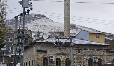 Ergani’de mevsimin ilk karı etkili oldu