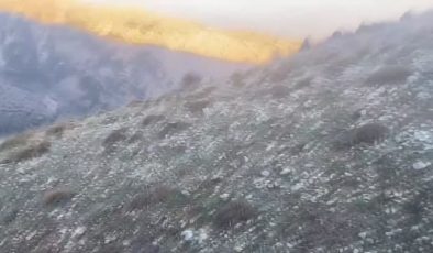 Erzincan’da iki doğasever karşılaştıkları ayılardan kaçış anlarını görüntüledi