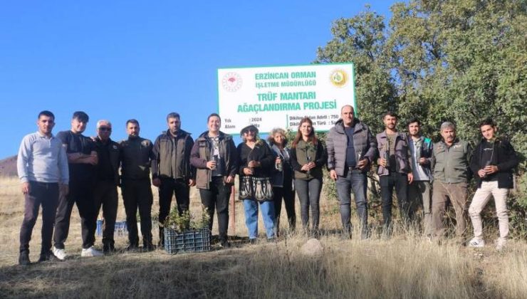 Erzincan’da ilk trüf mantarı ormanı kuruldu