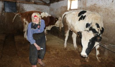 Erzincan’ın 79 yaşındaki Dilber ninesinden hayranlık uyandıran hayat mücadelesi