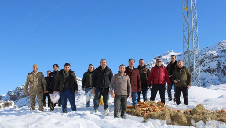 Erzurum Tortum’da yaban hayatı için doğaya yiyecek bırakıldı