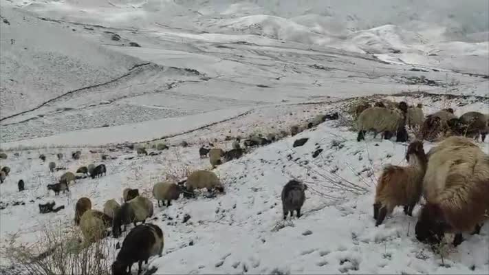 Faraşin Yaylası’nda kar yağışı etkili oldu