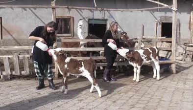 Gelin görümce kariyerlerini bırakıp çiftlikte üretime geçti