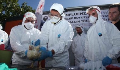 Göçmen kuşlar Türkiye’de kuş gribi riskini artırıyor