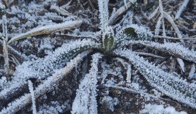 Göle’de gece eksi 12 dereceyle Sibirya soğukları hissedildi