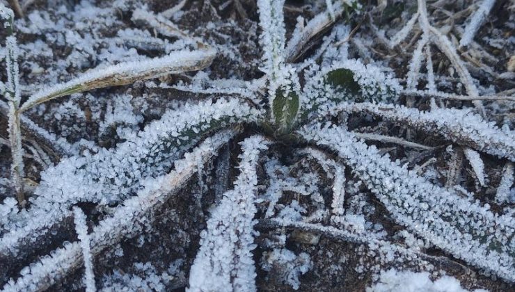 Göle’de gece eksi 12 dereceyle Sibirya soğukları hissedildi