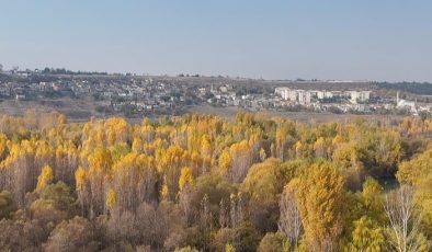 Hevsel Bahçeleri’nde renk cümbüşü dron ile görüntülendi