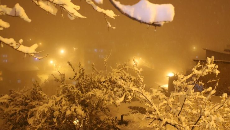 Hakkari’de kar nedeniyle 10 köy yolu kapandı