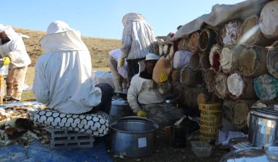 Hizan’da doğal karakovan balı hasadı hız kazandı
