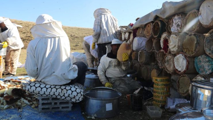 Hizan’da doğal karakovan balı hasadı hız kazandı