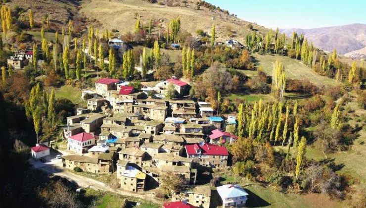 Hizan’ın tarihi taş evleri sonbaharda kartpostallık manzaralar sunuyor