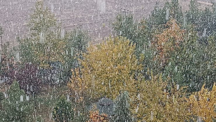 Diyarbakırda kar yağışı başladı