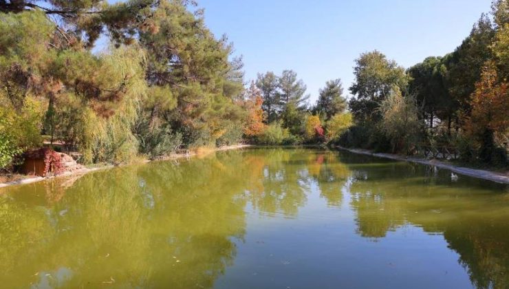Kahramanmaraş Kapıçam Parkı’nda sonbahar şöleni