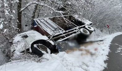 Kamyonun devrildiği kazada onlarca tavuk telef oldu
