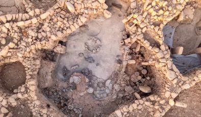 Karahantepe kazı alanında leopar kemiklerine rastlandı