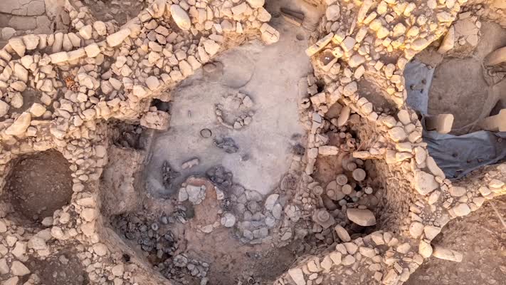 Karahantepe kazı alanında leopar kemiklerine rastlandı