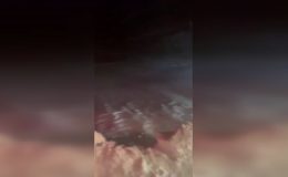 Karda kaybolan 4 kişi için arama sürüyor
