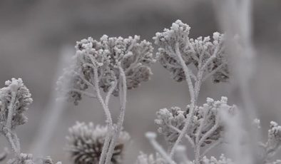 Kars ve Ardahan’da soğuk hava yaşamı olumsuz etkiliyor