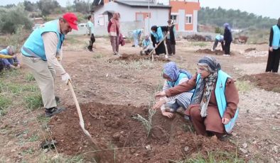 Kız öğrenciler, yangından zarar gören bahçeye fidan dikti