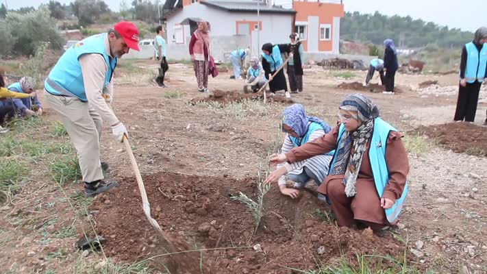 Kız öğrenciler, yangından zarar gören bahçeye fidan dikti
